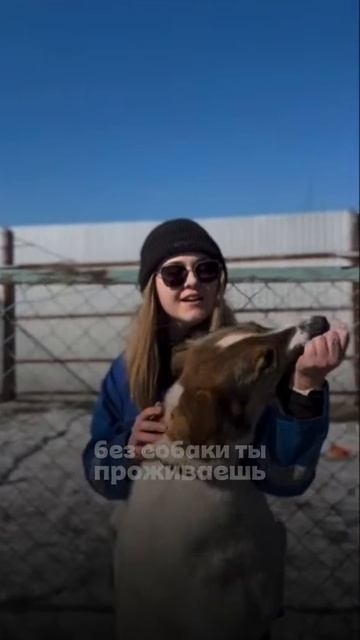 У вас все ещё нет собаки?