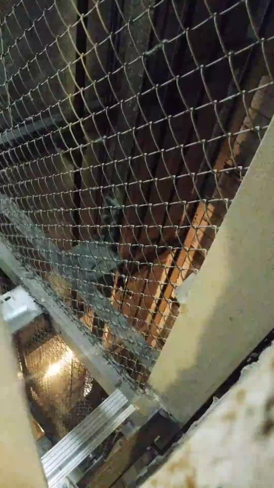 Мы идём гулять с собакой! | 25-апр-2026 2