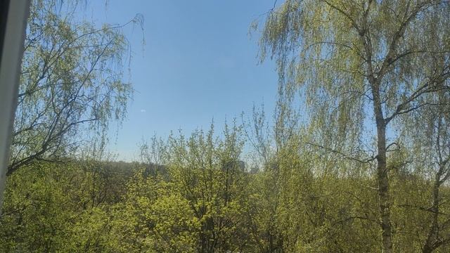 25 апреля магический ☀️ подарок прогноз погоды от волшебника