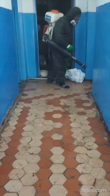 Как зарабатывать на дезинсекции и обрабатывать объекты — покажу вживую