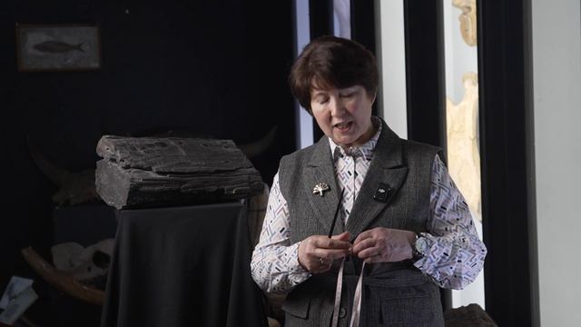 Кордаитовое дерево | Каталог Национального музея Республики Башкортостан