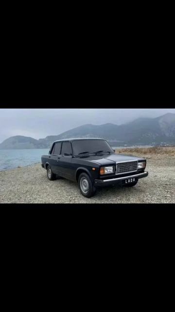 короткий сапог