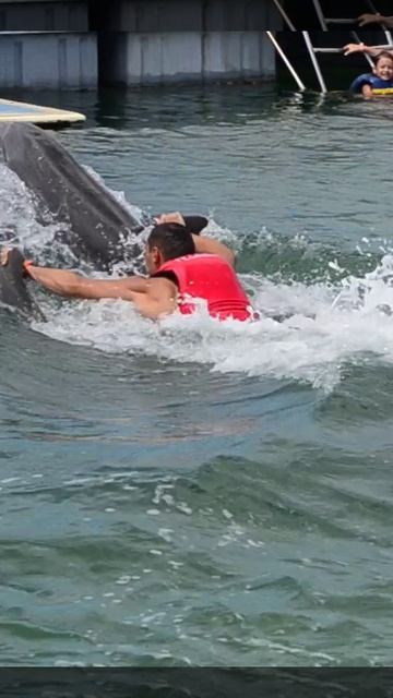 Плавание с дельфинами