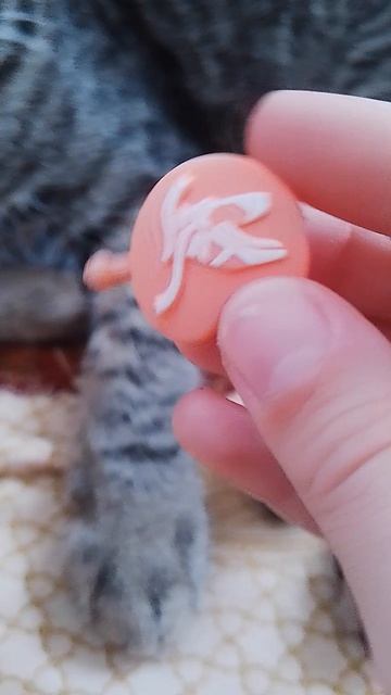 распаковка с боничкой Ам нямов 2