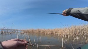 ВОТ ЭТО ОТКРЫТИЕ СЕЗОНА НА ПОПЛАВОК! В ПОГОНЕ ЗА САЗАНОМ И КАРАСЕМ! Рыбалка на поплавок 2026.