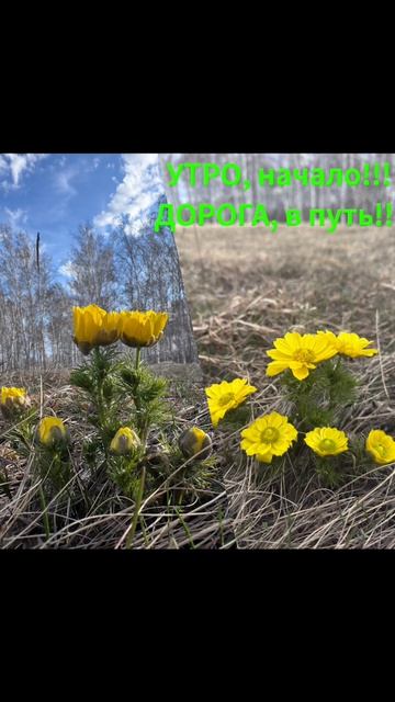 Омск успешно покорён! Впереди — отличная дорога к границе. Едем дальше с улыбкой! 🚐🌞