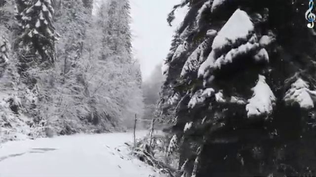 ОКОЯННАЯ ЛЮБОВЬ