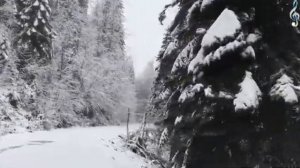 ОКОЯННАЯ ЛЮБОВЬ