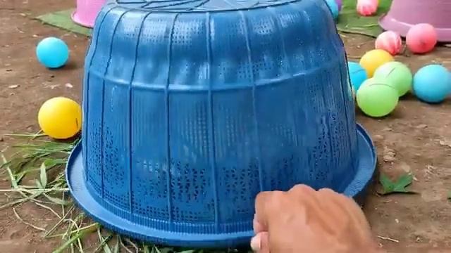 Мультики для детей. Цветные цыплята. Ловим цветных цыплят. Мультики малышам