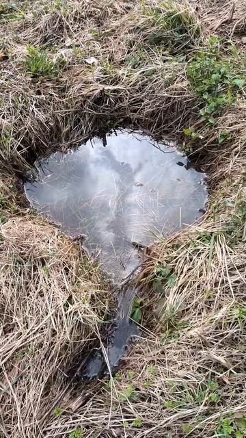 Ямка с водой