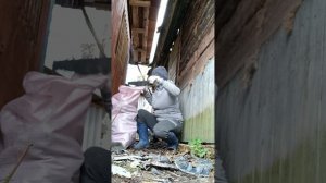 убираем заброшенный участок 3.#ремонт #уютныйдом #заброшеныйучасток #уборказаброшенногодома