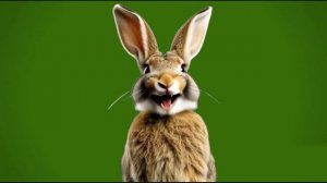 Ставь свой лайк 1_encoded