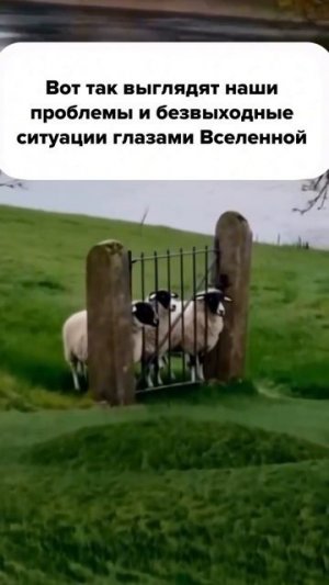 Выход из проблем очень прост...