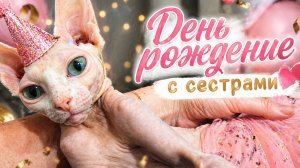 Бросила мужа и детей и уехала. День рождение-перезагрузка.
