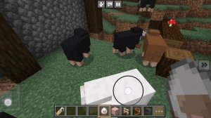 Чёрные овечки и разбойники в клетке в Майнкрафте!