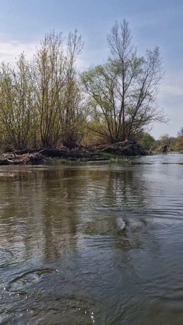 Природа и красота на малой реке! #сплав #рыбалка #ловляголавля #ловлянаспиннинн #фишмир #голавль