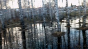 поболтать и помидоры  и цветы пересаживать буду