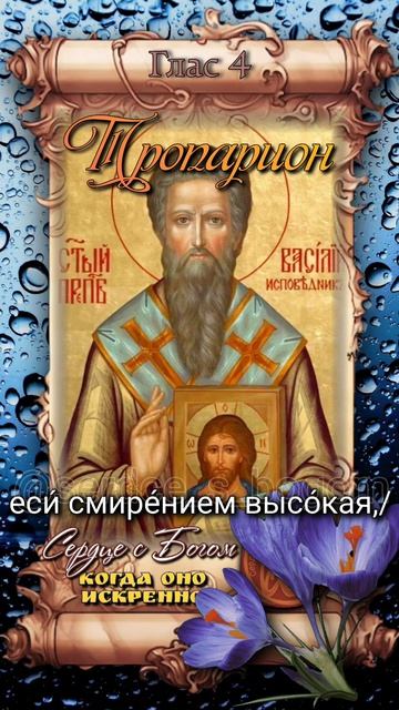 25 апреля Преподобный Василий Парийский (после 754г)