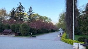 ОДЕССА 25 АПРЕЛЯ 2026. КАРАСЬ МОБИЛИЗУЕМ 18-ЛЕТНИХ! КАЧКИ БЕГУТ ОТ ТЦК! БЛОГЕРША И БОГАТЫЙ ТЦКШНИК