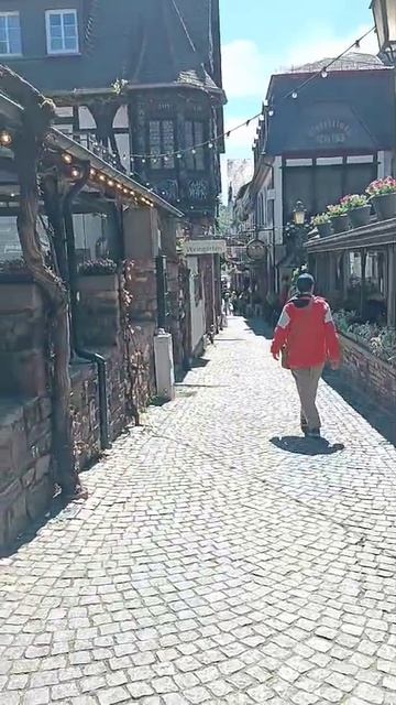 Rudesheim_am_Rhein Рюдесхайм на Рейне_25_04_2026