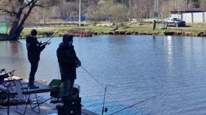 Светлые Горы Форель4 25.04.2026г.