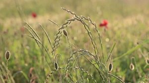 День добрый начинается.