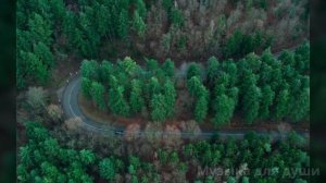 Эх, судьба-злодейка