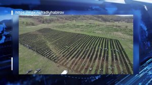 За семь лет в рамках акции «Зеленая Башкирия» высадили 185 тысяч деревьев