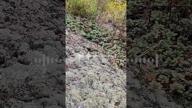 💣Взрывной старт💥: 
За 5 дней к результату, который вдохновляет, эмоции зашкаливают💃