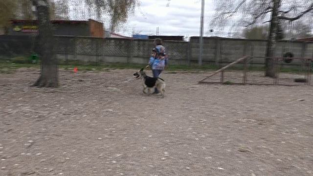 ПРК Калужский Витязь Валькирия Мейз