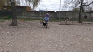 ПРК Калужский Витязь Валькирия Мейз