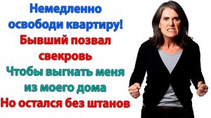 Истории из жизни|Ты наглая хамка!|Аудиорассказы|Аудиокниги слушать|Реальные истории