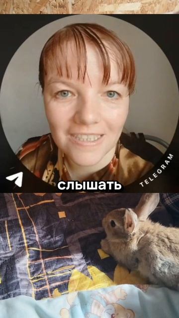 КАЖДОЕ ВОСКРЕСЕНЬЕ ПРИГЛАШАЮ НА ПИР БОЖИЙ В 16 ЧАСОВ 
#салтаненкостаниславюлия #Библия #духовныесуще