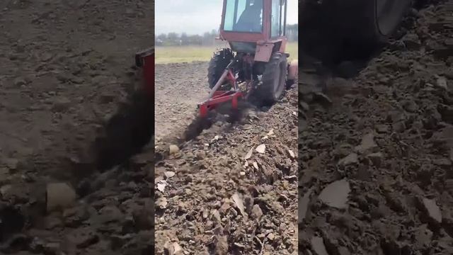 Отзыв о плуге! #21