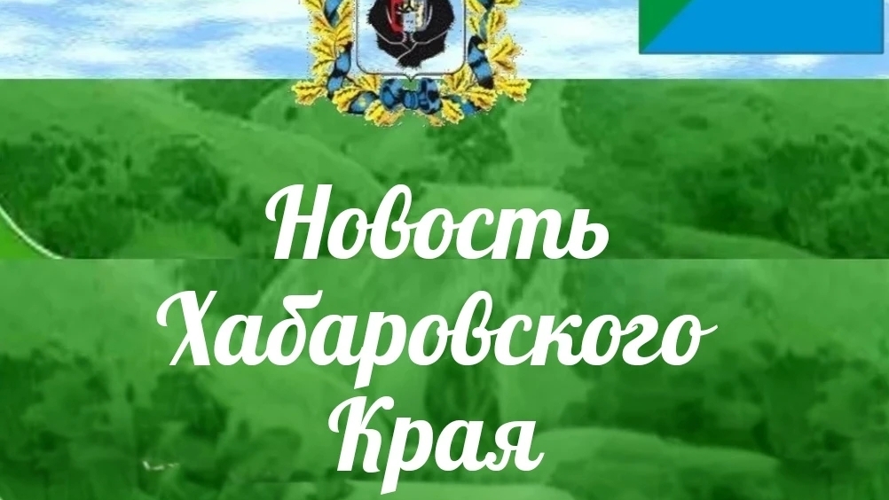 😳Водитель вылетел из машины и погиб после переворота в Хабаровском районе