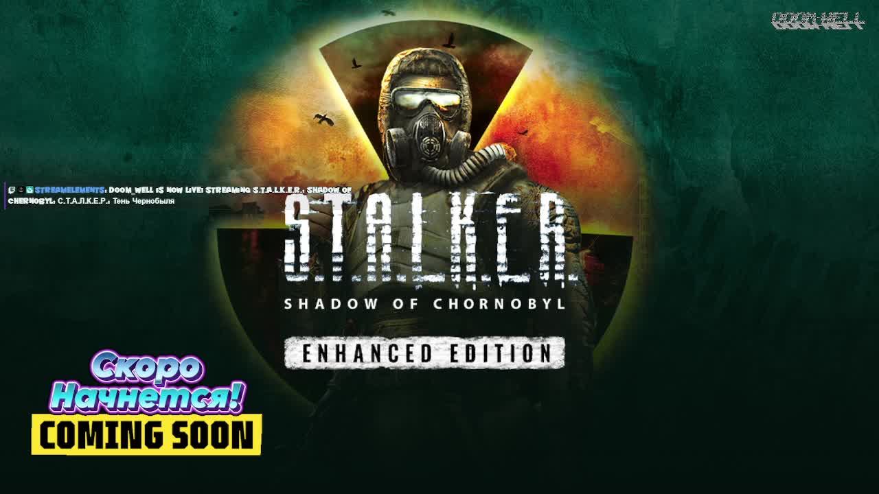 С.Т.А.Л.К.Е.Р.: Тень Чернобыля (11)