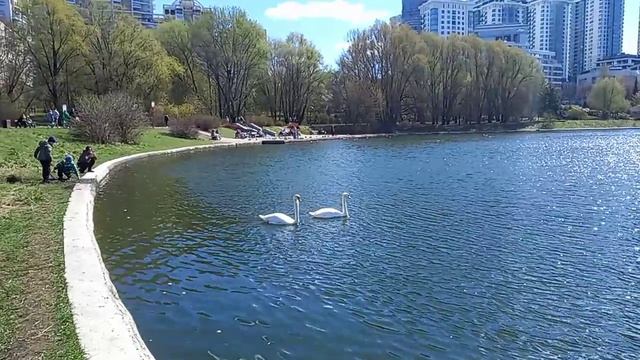 Москва 25.04.26  Мосфильмовский пруд