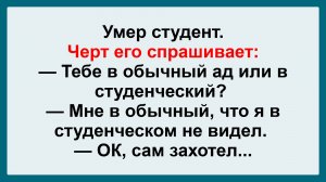 Тебе в обычный ад или студенческий? Смешные, Остренькие, Жизненные Анекдоты! Юмор! Смех! Позитив!