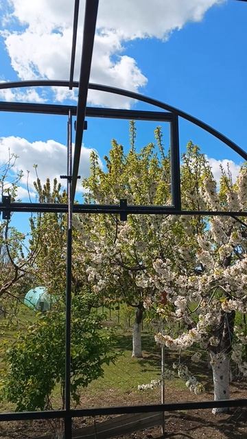 14. Теплица своими руками для клЮбнички моей).mp4