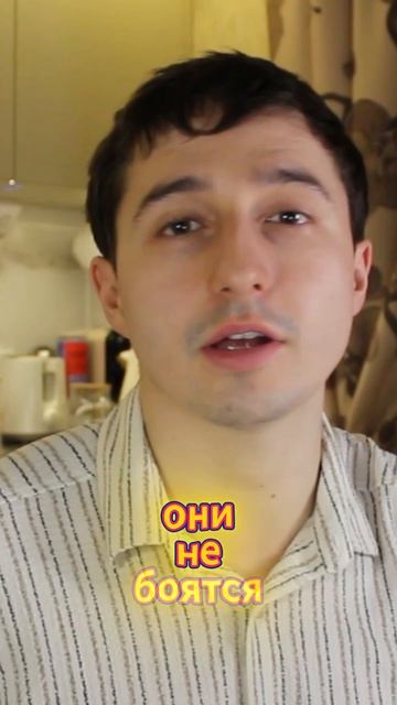 Пингвины в Африке! Полный выпуск про ЮАР на канале #вокругнашегошарика