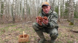 🍄 Нашел ГРИБНОЙ КУСТ! Но лесной домик разрушил мои надежды.. что стало с домиком в лесу? 😱