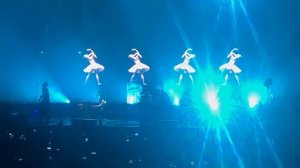 Юбилейный концерт The Hatters прошел в Хабаровске