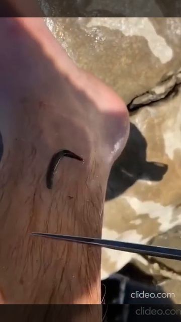 Видео от Выживание