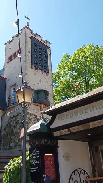 Rudesheim_am_Rhein Рюдесхайм на Рейне_25_04_2026