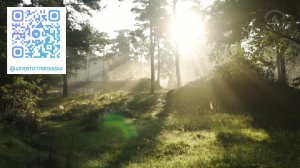 Субботнее богослужение 25.04.2026 // Могут ли предметы говорить? // Глотов А // адвентисты Брянска