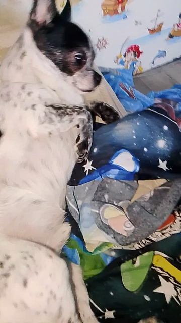 Если тебе грусненько то потряси пузиком🤣🤣🤣🤣🤣🤣🤣🤣🤣🤣🤣🤣🤣🤣🤣🤣🤣🤣🤣🤣