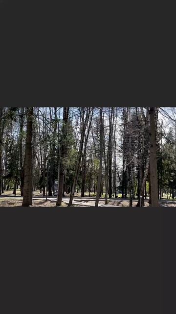 Зоопарк на территории санатория АМАКС