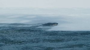 СИБИРЬ Земля двух миров  Жизнь в вечной мерзлоте  Документальный фильм  4K  Дикая природа