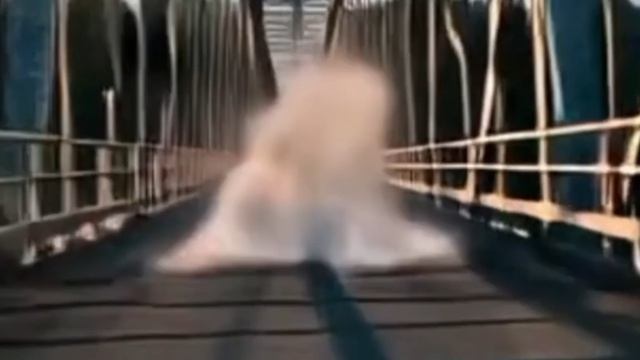 Shadow Motion Studios / Road Bridge Animation (2007)