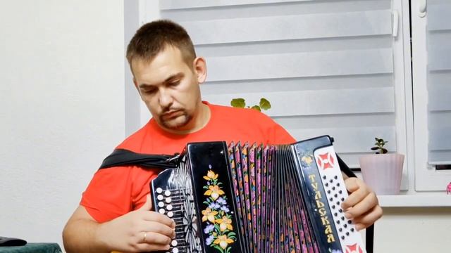 #виолетта #владимирглазунов #нотыдлягармони #разборнагармони #врекомендации #николайголовинов